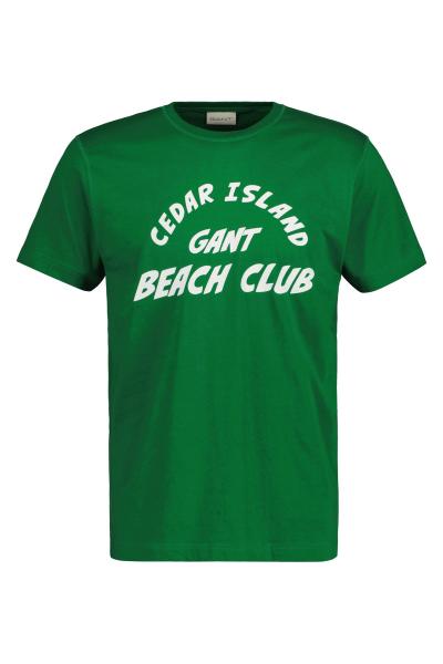 PÓLÓ GANT CEDAR GRAPHIC T-SHIRT LAVISH GREEN