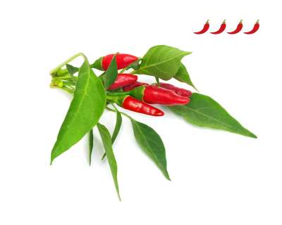 Növénykapszula - Piri Piri Chili paprika - 3 db