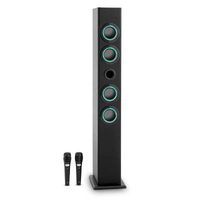 OneConcept Tallboy karaoke hangfal, USB, SD, MP3, FM, AUX, 2 mikrofon