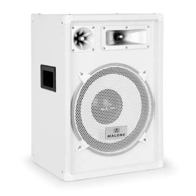 Auna Pro PA hangszóró Auna™ PW 1222 , 30 cm-es hangszóró, 600 W-os