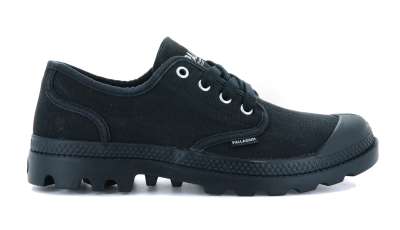 Palladium Pampa Oxford