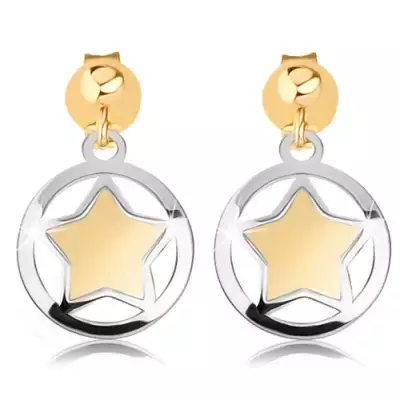 9K arany fülbevaló csillaggal fehérarany karikában