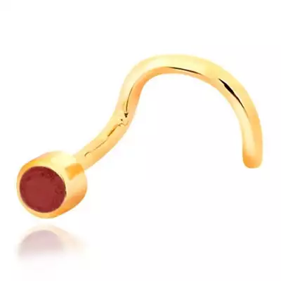 14K arany orr piercing - hajlított alakú, piros rubin kő foglalatban