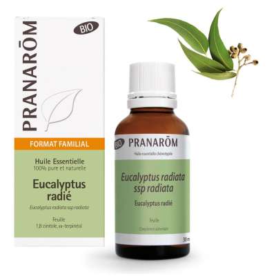 Pranarom Eukaliptusz radiata – eucalyptus radiata bio 30 ml