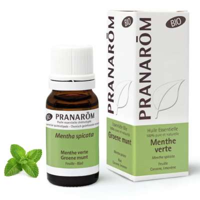 Pranarom Fodormenta – mentha spicata bio 10 ml