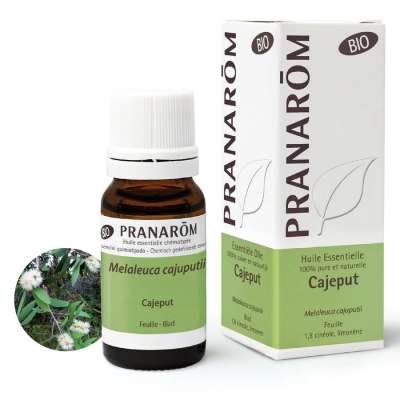 Pranarom Cajeput - melaleuca cajuputii bio 10 ml