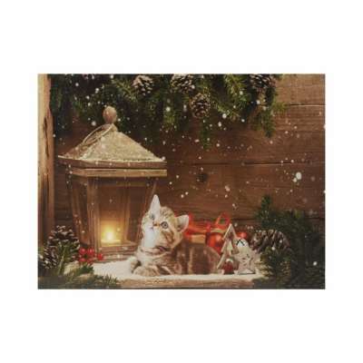 Fali kép Macska egy lámpa előtt  30 x 40 cm