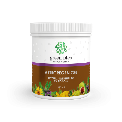 Artroregen masszázsgél 250 ml - Green idea