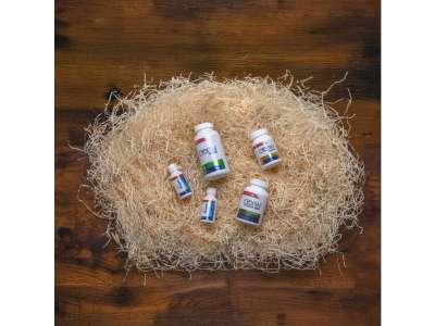 EREXAN EREKCIÓ ajándékcsomag – Herbatica