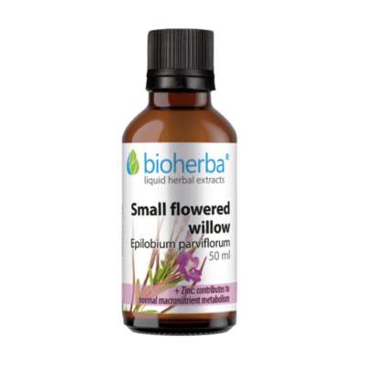 Bioherba kisvirágú füzike cseppek – tinktúra krómmal – 50 ml