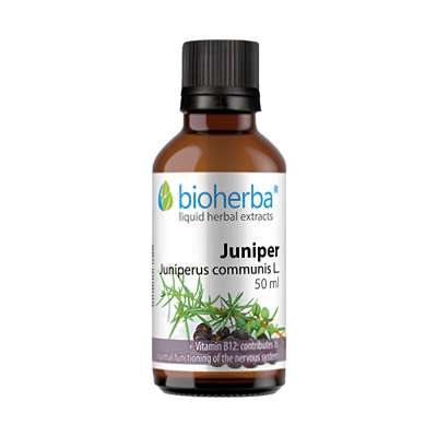 Bioherba Boróka tinktúra cseppek – 50 ml