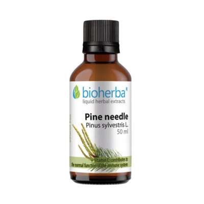 Bioherba Erdeifenyő-hajtás tinktúra cseppek – 50 ml