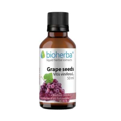 Bioherba Szőlőmag tinktúra cseppek – 50 ml