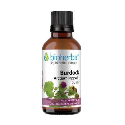 Bioherba nagy bojtorján tinktúra cseppek – 50 ml