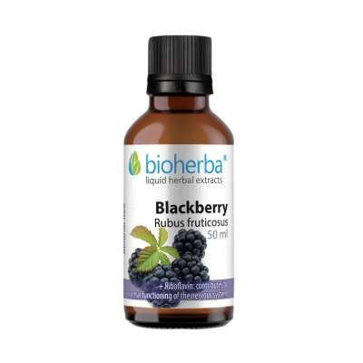Bioherba Szeder tinktúra cseppek - 50 ml