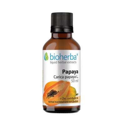 Bioherba Papája tinktúra cseppek – 50 ml