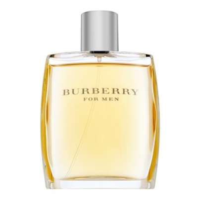 Burberry For Men Eau de Toilette férfiaknak 100 ml