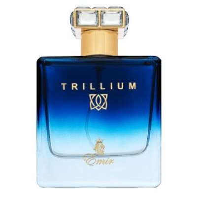 Emir Trillium Eau de Parfum férfiaknak 100 ml