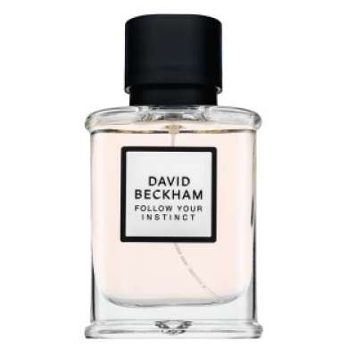 David Beckham Follow Your Instinct Eau de Parfum férfiaknak 50 ml