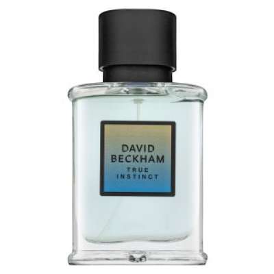 David Beckham True Instinct Eau de Parfum férfiaknak 50 ml