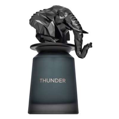 French Avenue Thunder Eau de Parfum férfiaknak 100 ml