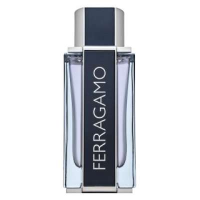 Salvatore Ferragamo Ferragamo Eau de Toilette férfiaknak 100 ml
