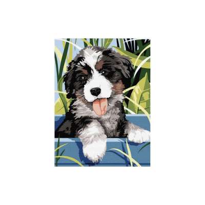 Számfestő készlet, számos kifestő fa kerettel, 30×40 cm, kutya mintával