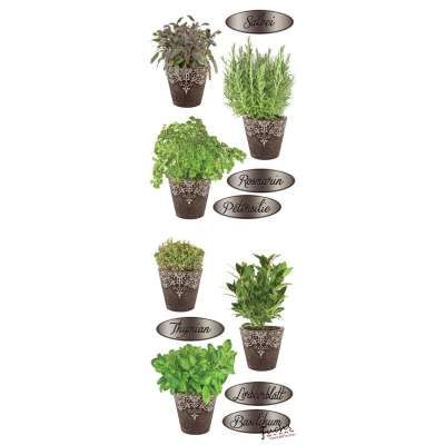 Fűszernövények cserépben matrica üvegre és falra