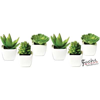 Pozsgások matrica falra, csempére, bútorra