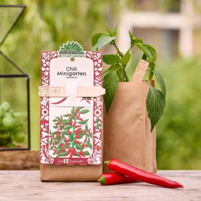 Minigarten: Termesztő készlet - chili