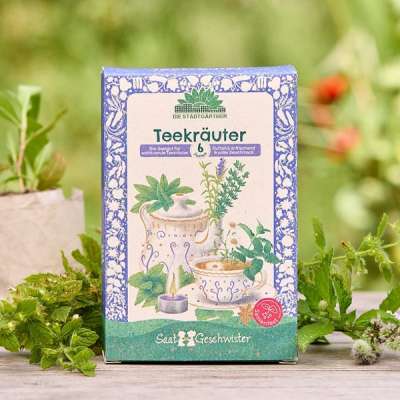 BIO teanövény vetőmagkészlet (6 féle)