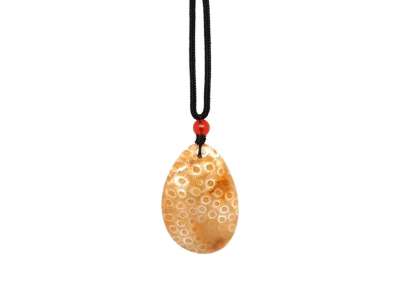 Korall fosszil csepp medál A 4-5cm