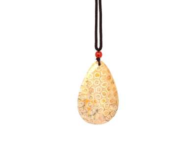 Korall fosszil csepp medál A 5-6cm