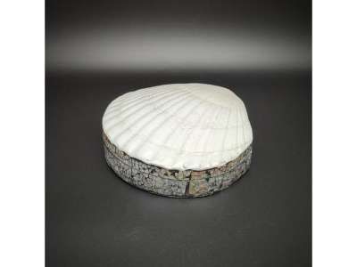 Kagyló alakú ékszertartó doboz fehér díszes tároló 10–11×10 cm