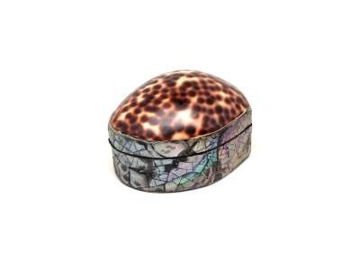 Barna-fehér pöttyös kagyló ékszertartó doboz egyedi mintás 6×5 cm