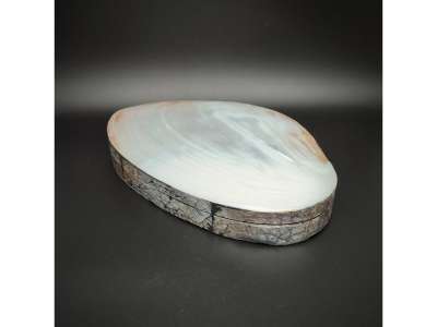 Pávakagyló ékszertartó doboz krém színben prémium ékszertartó 23 cm