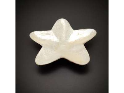 Tál kagyló csillag 10cm
