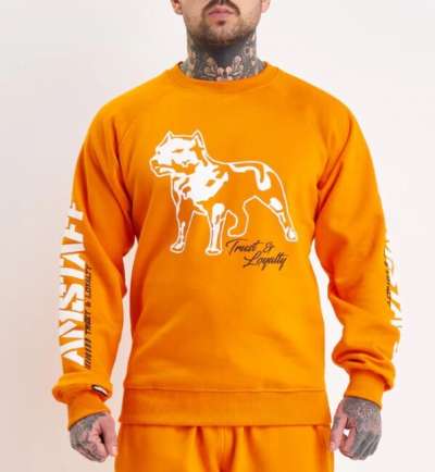 Amstaff Logo 2.0 Sweatshirt Orange