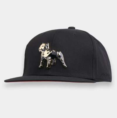 Amstaff Icon Snapback Cap
