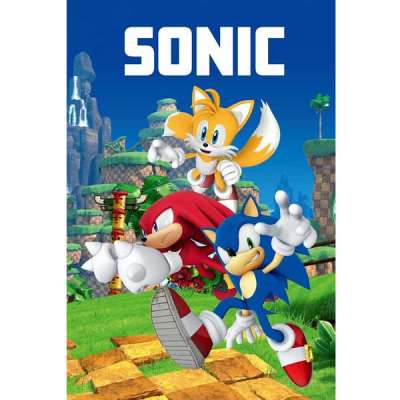 Gyerek polár takaró Sonic 