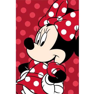 Mikroszálas takaró Minnie 