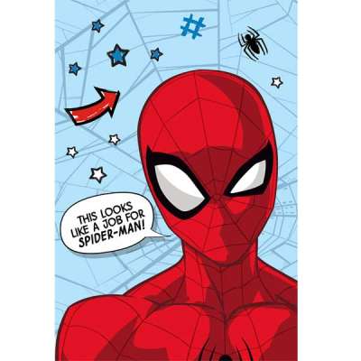 Mikroszálas takaró Spider-man 100x150 cm