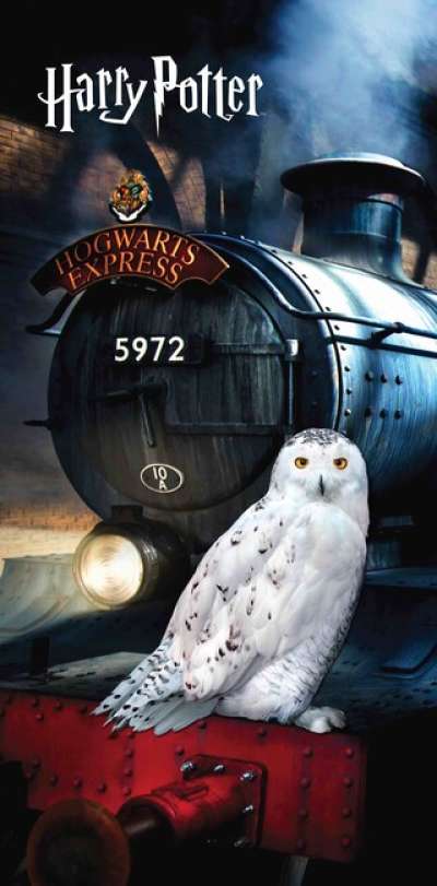 Fürdőtörölköző Harry Potter 
