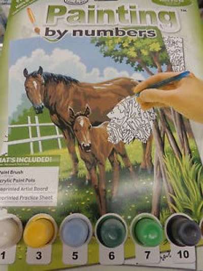 Kreatív festőkészlet - Ló és csikó  (festőkészlet színek szerint)