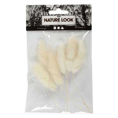 Nyúl farok dekoráció (természetes dekoráció)