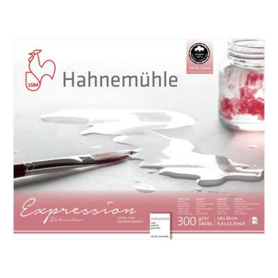 Hahnemühle Expression akvarellpapír | Various Sizes