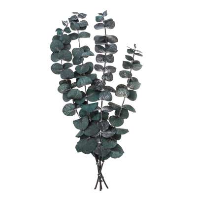 Stabilizált Eukaliptusz baba kék / 4 szál, zöld, 20 cm