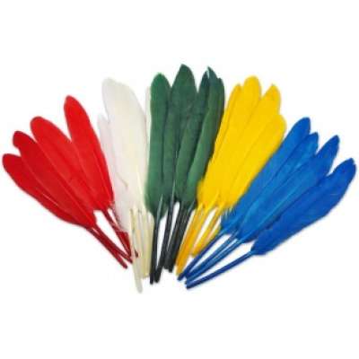 Indián toll 10-17 cm (dekoratív toll)