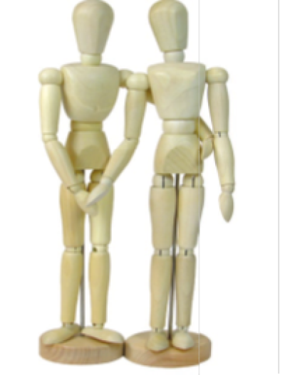 Model - női test - 30 cm (emberi test model ? nő)