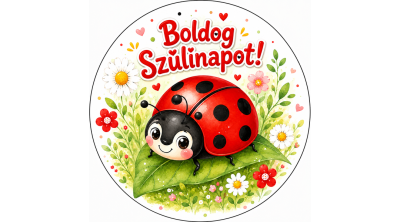 Aranyos katica – kerek szülinapi tortaostya